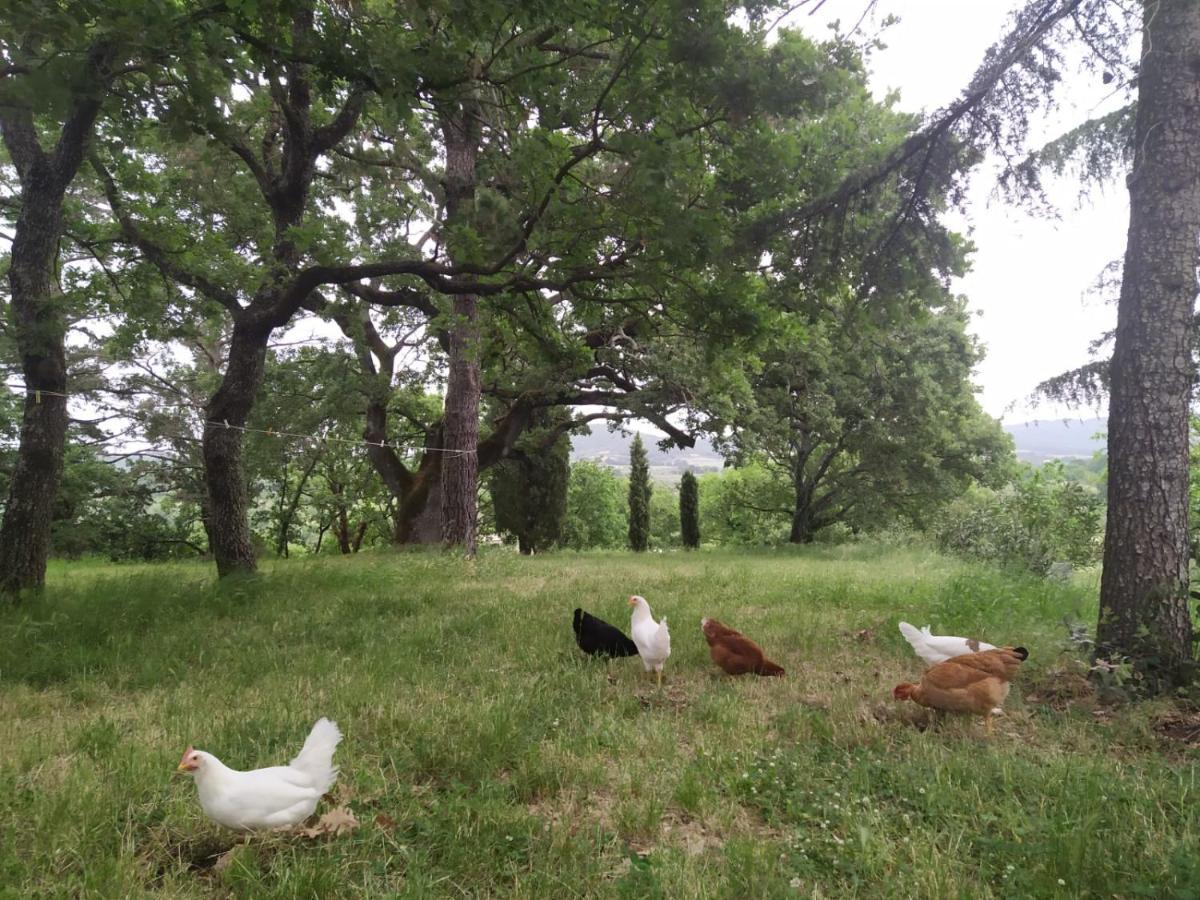 Agriturismo La Villetta San Lorenzo Nuovo 外观 照片