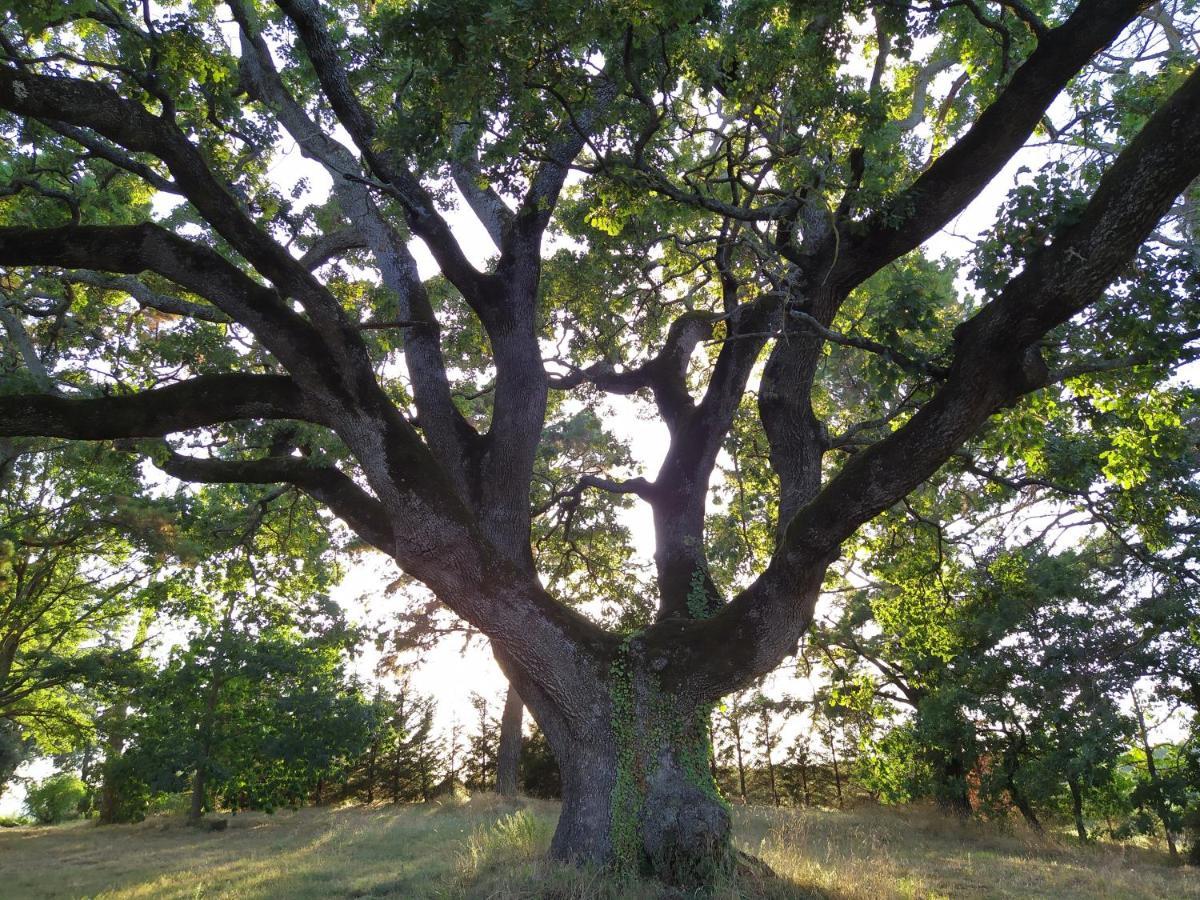 Agriturismo La Villetta San Lorenzo Nuovo 外观 照片