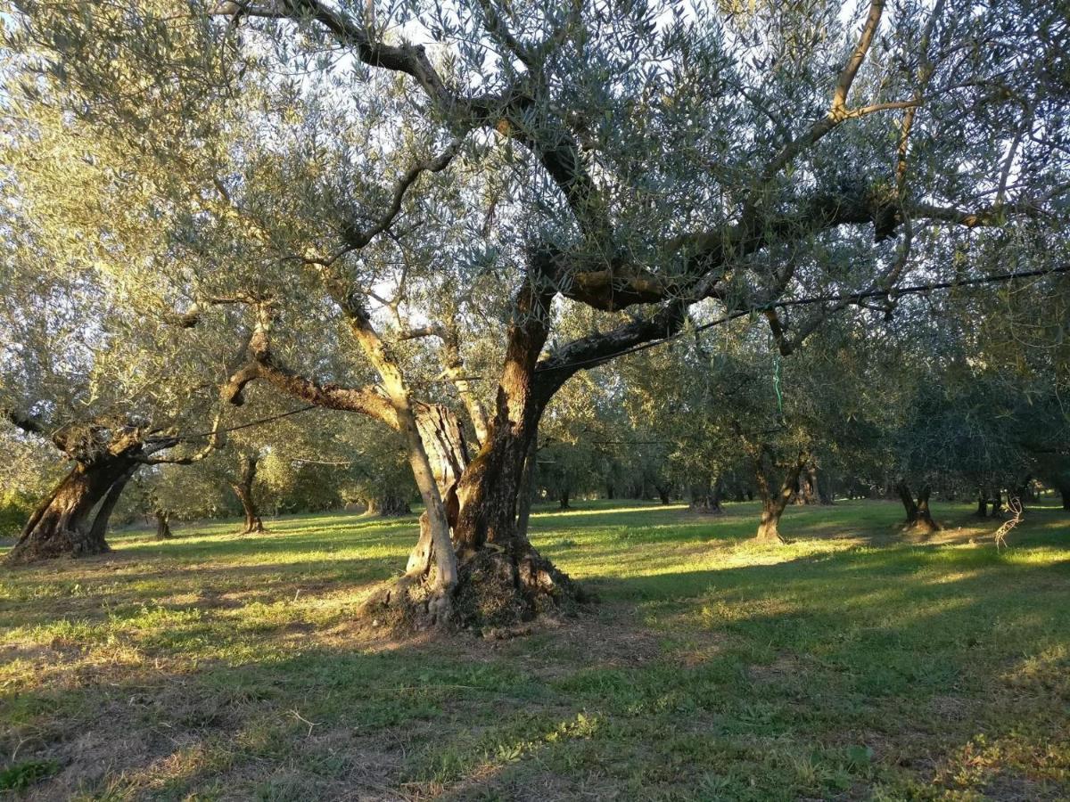 Agriturismo La Villetta San Lorenzo Nuovo 外观 照片