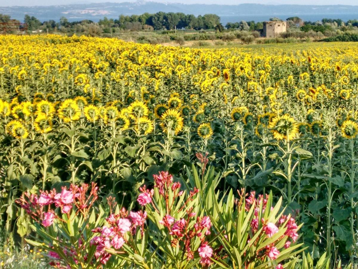 Agriturismo La Villetta San Lorenzo Nuovo 外观 照片