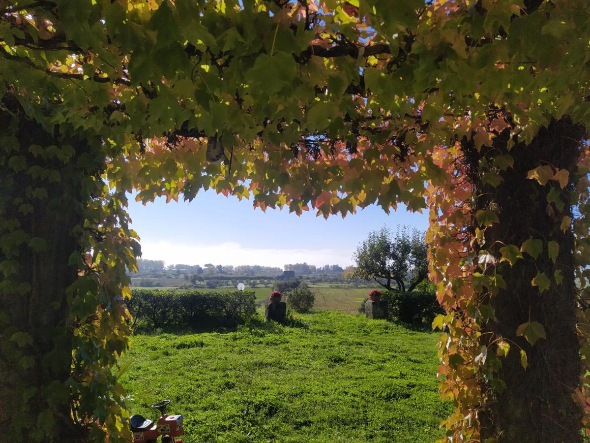Agriturismo La Villetta San Lorenzo Nuovo 外观 照片