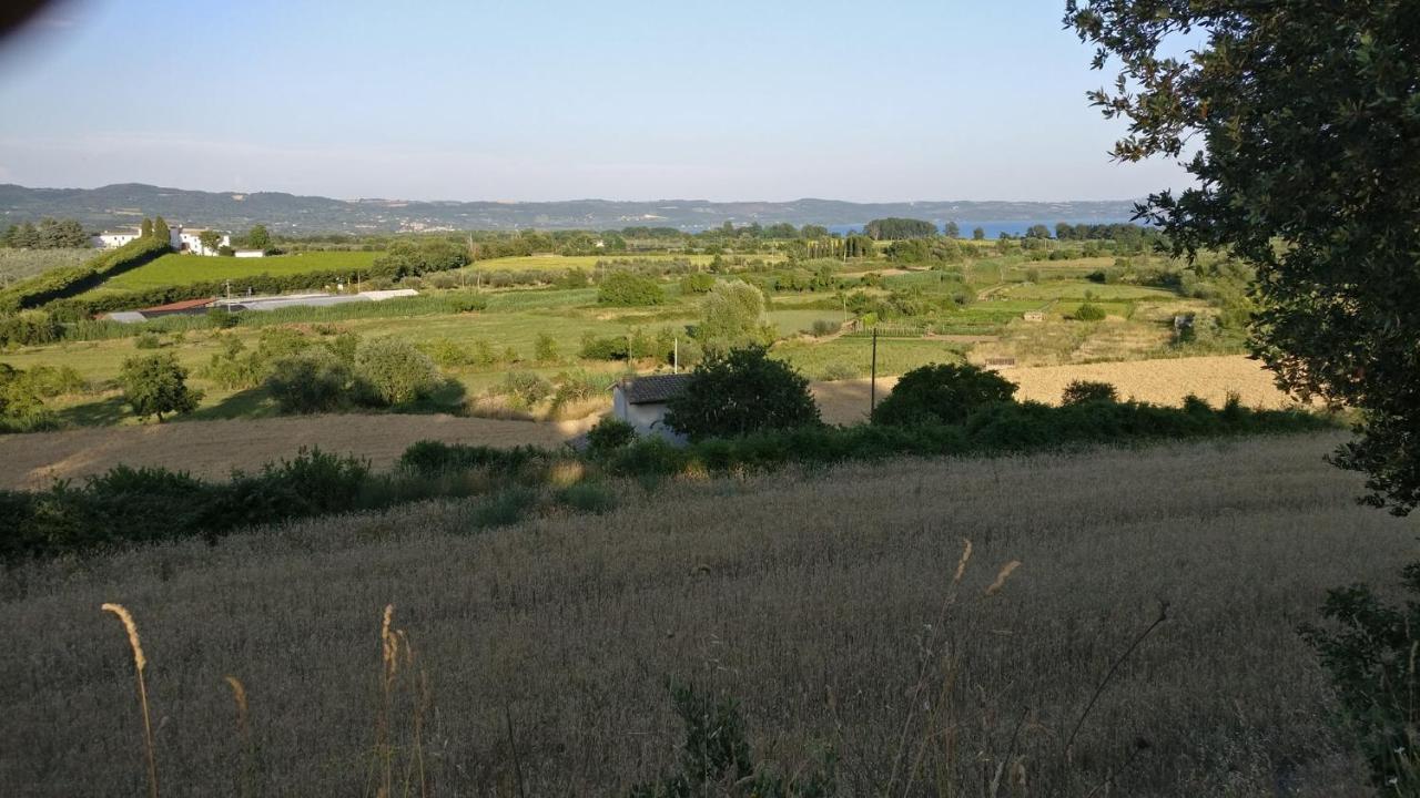 Agriturismo La Villetta San Lorenzo Nuovo 外观 照片