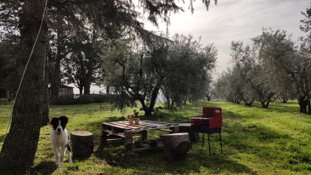 Agriturismo La Villetta San Lorenzo Nuovo 外观 照片