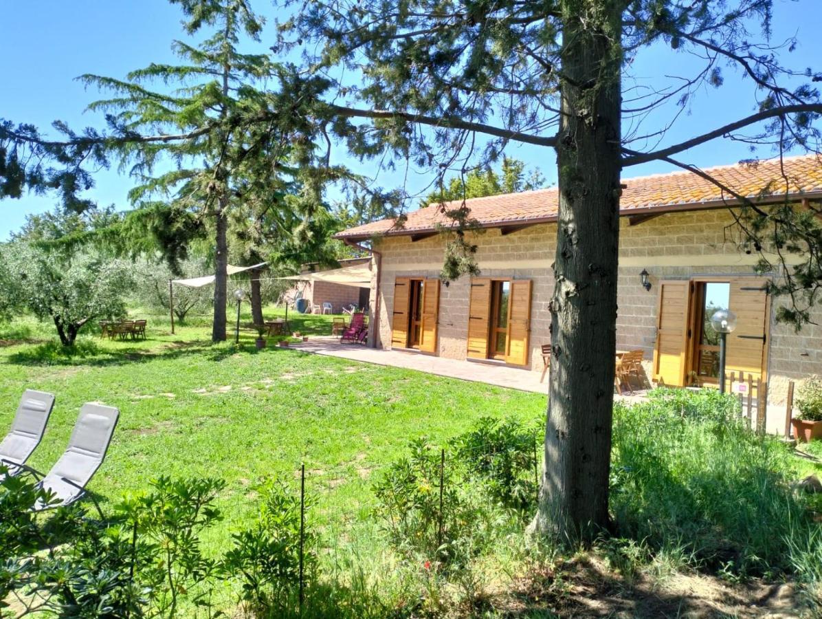 Agriturismo La Villetta San Lorenzo Nuovo 外观 照片