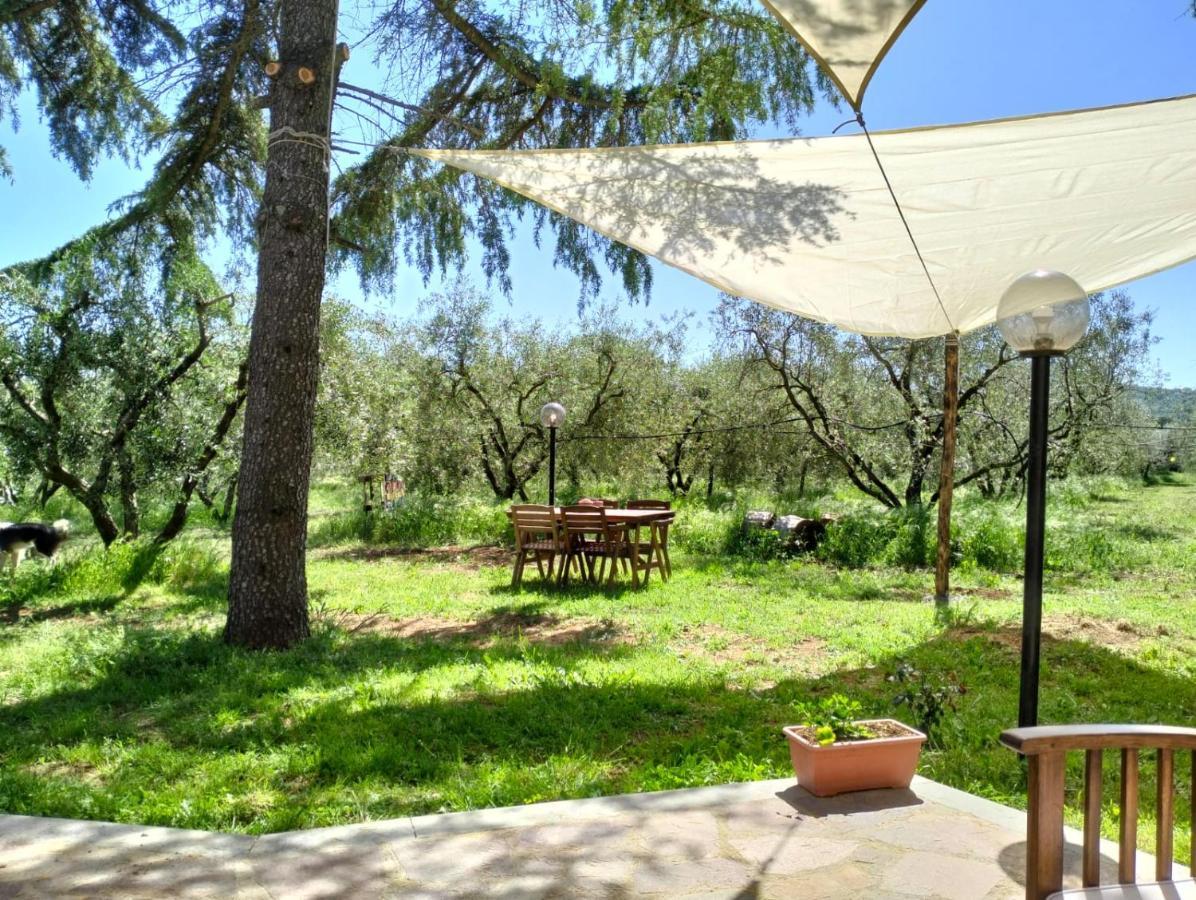 Agriturismo La Villetta San Lorenzo Nuovo 外观 照片