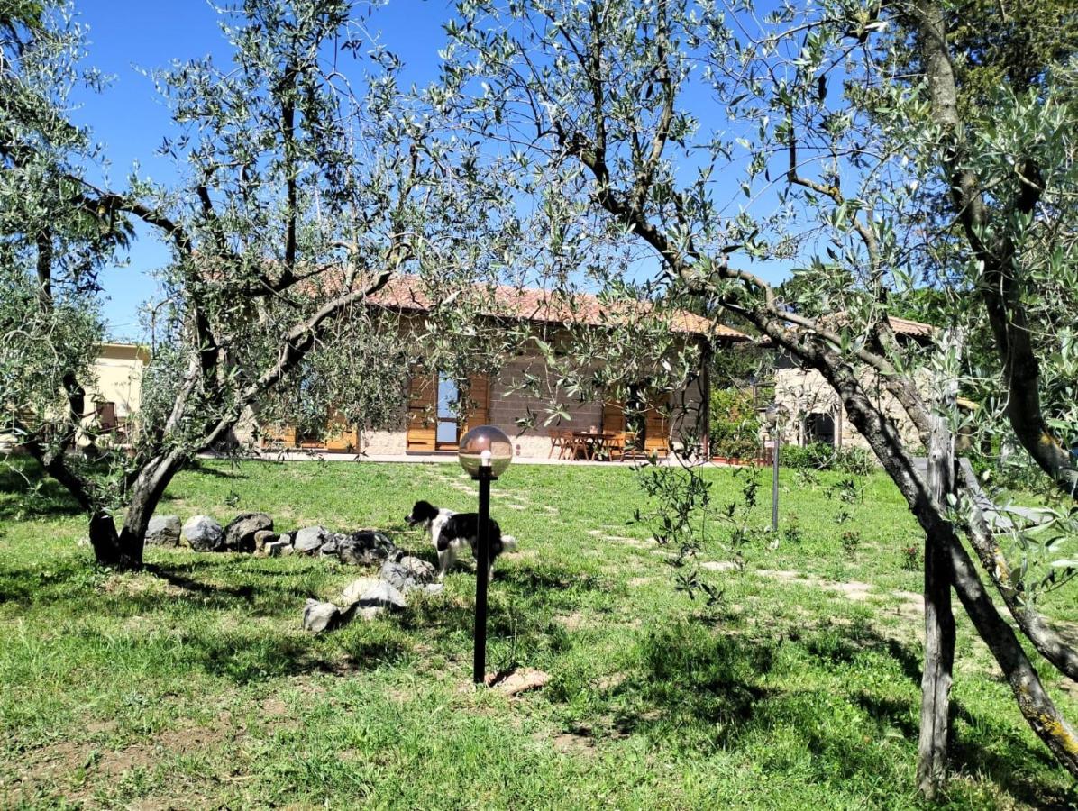 Agriturismo La Villetta San Lorenzo Nuovo 外观 照片