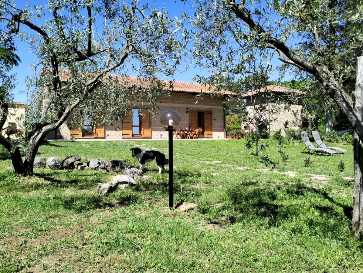 Agriturismo La Villetta San Lorenzo Nuovo 外观 照片