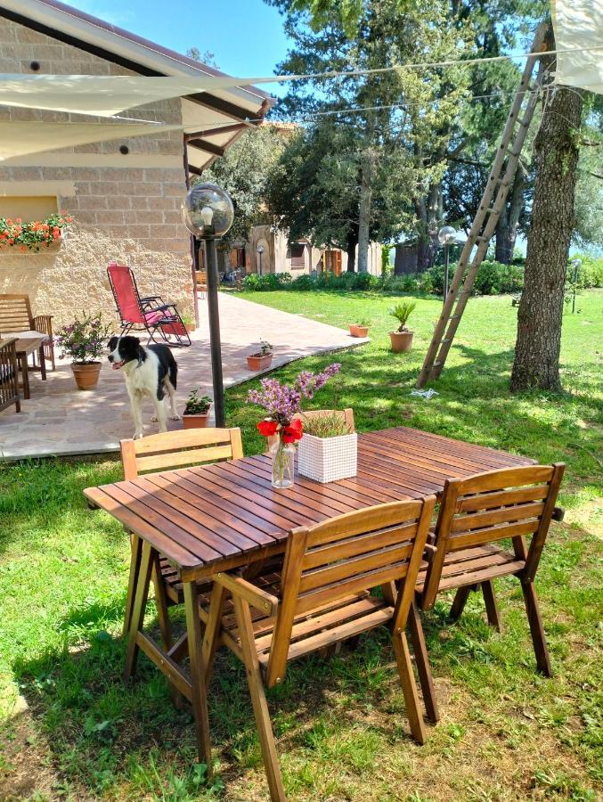 Agriturismo La Villetta San Lorenzo Nuovo 外观 照片